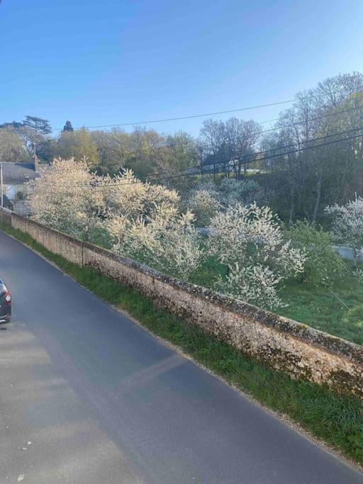 Gite Des Moriers Blois Bord De Loire Екстер'єр фото